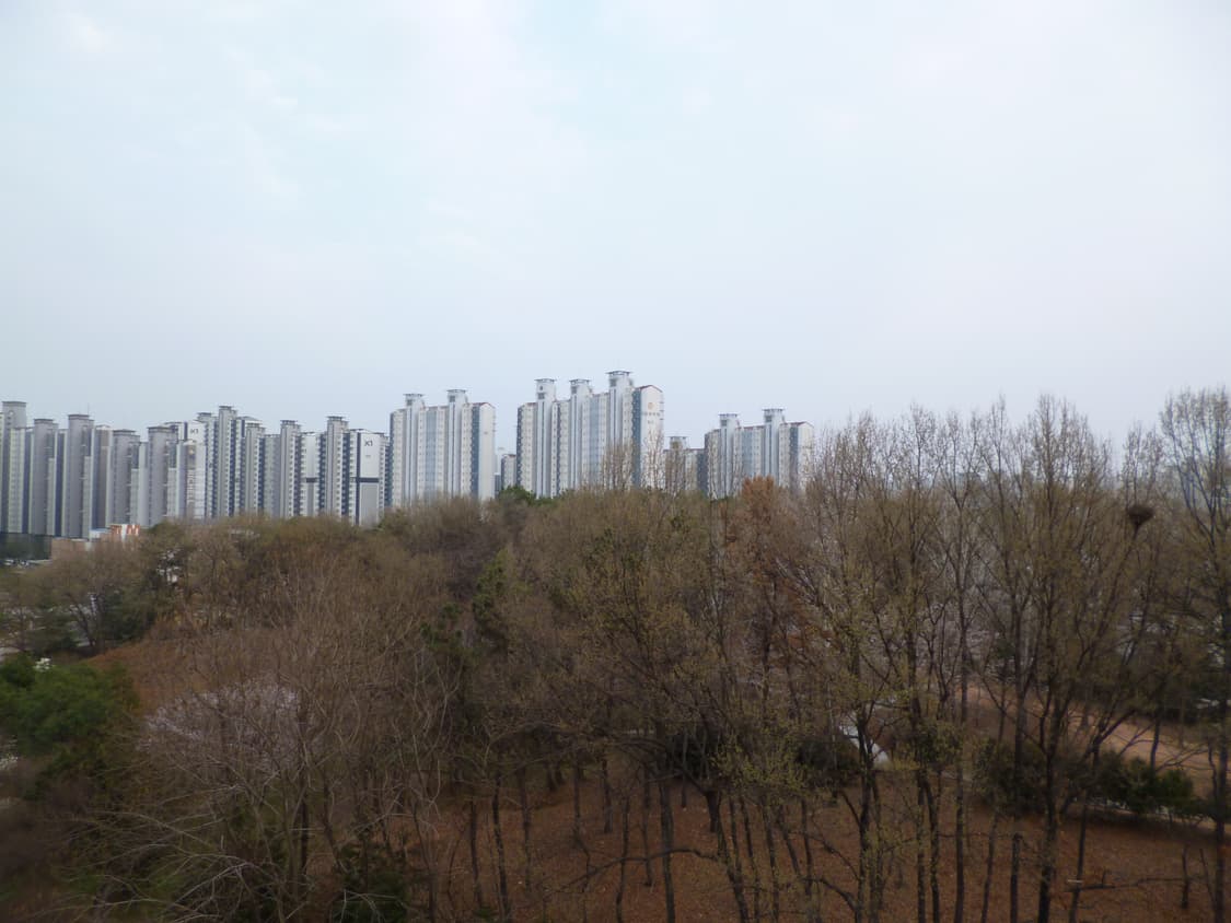 panasonic lumix dmc-fs40(파나소닉 루믹스 fs40) 상품이미지9