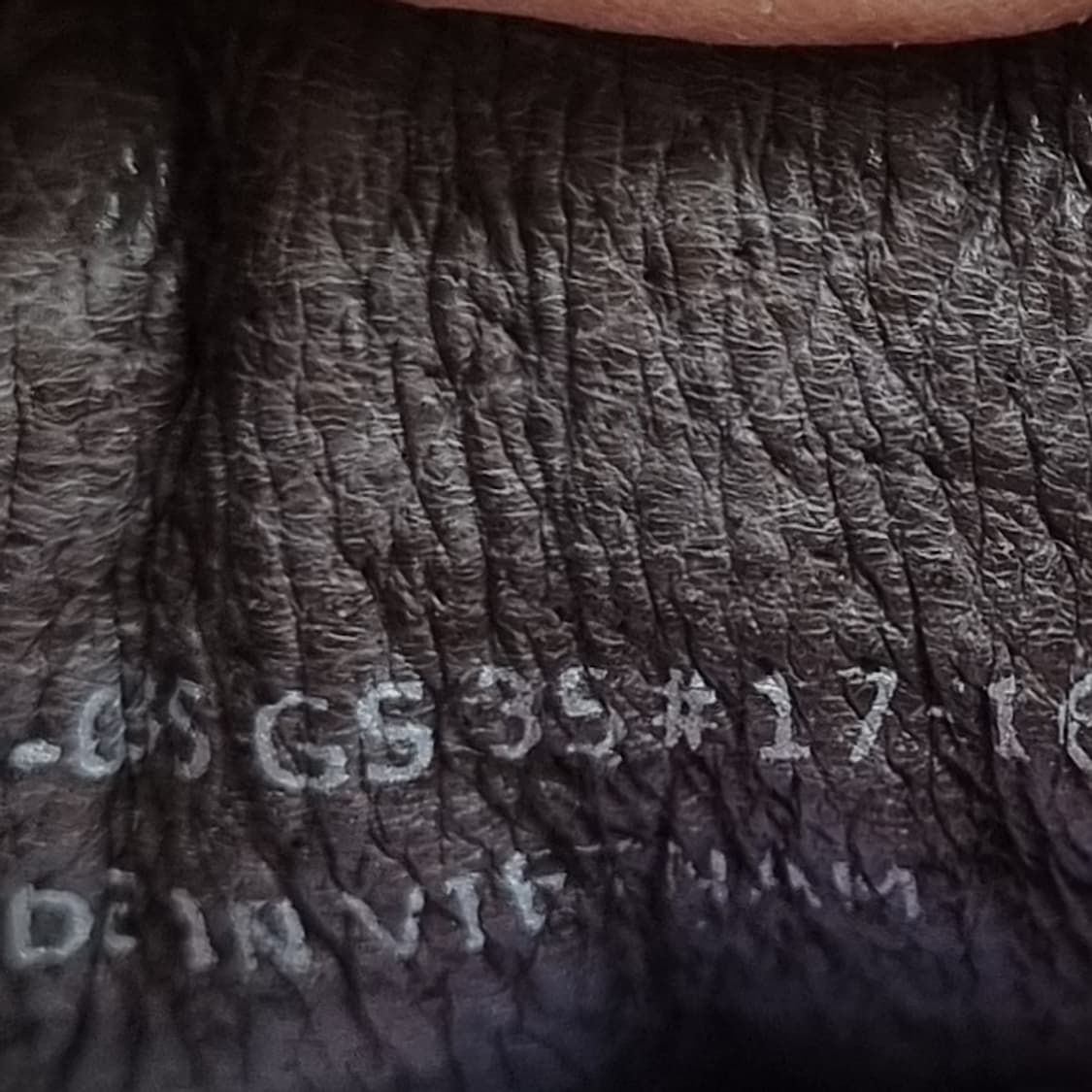 캠퍼 펠로타스 스니커즈35 220 상품이미지6