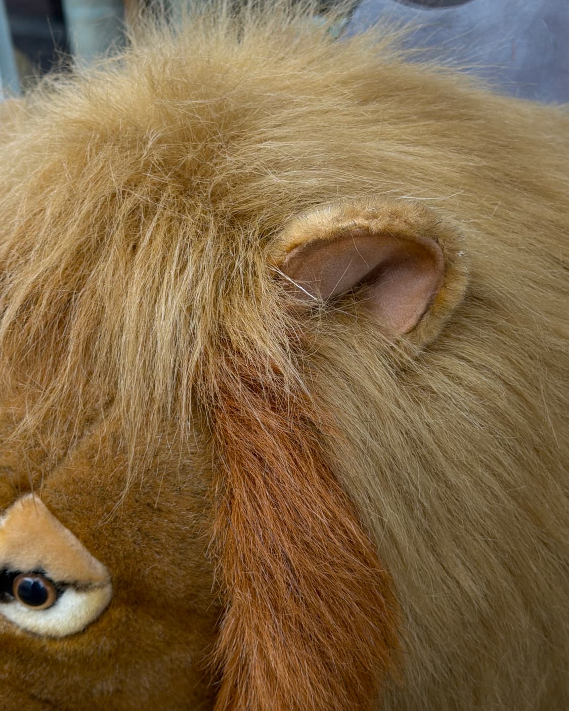 빈티지 소품 한사토이 Lion Head 헌팅트로피 상품이미지6