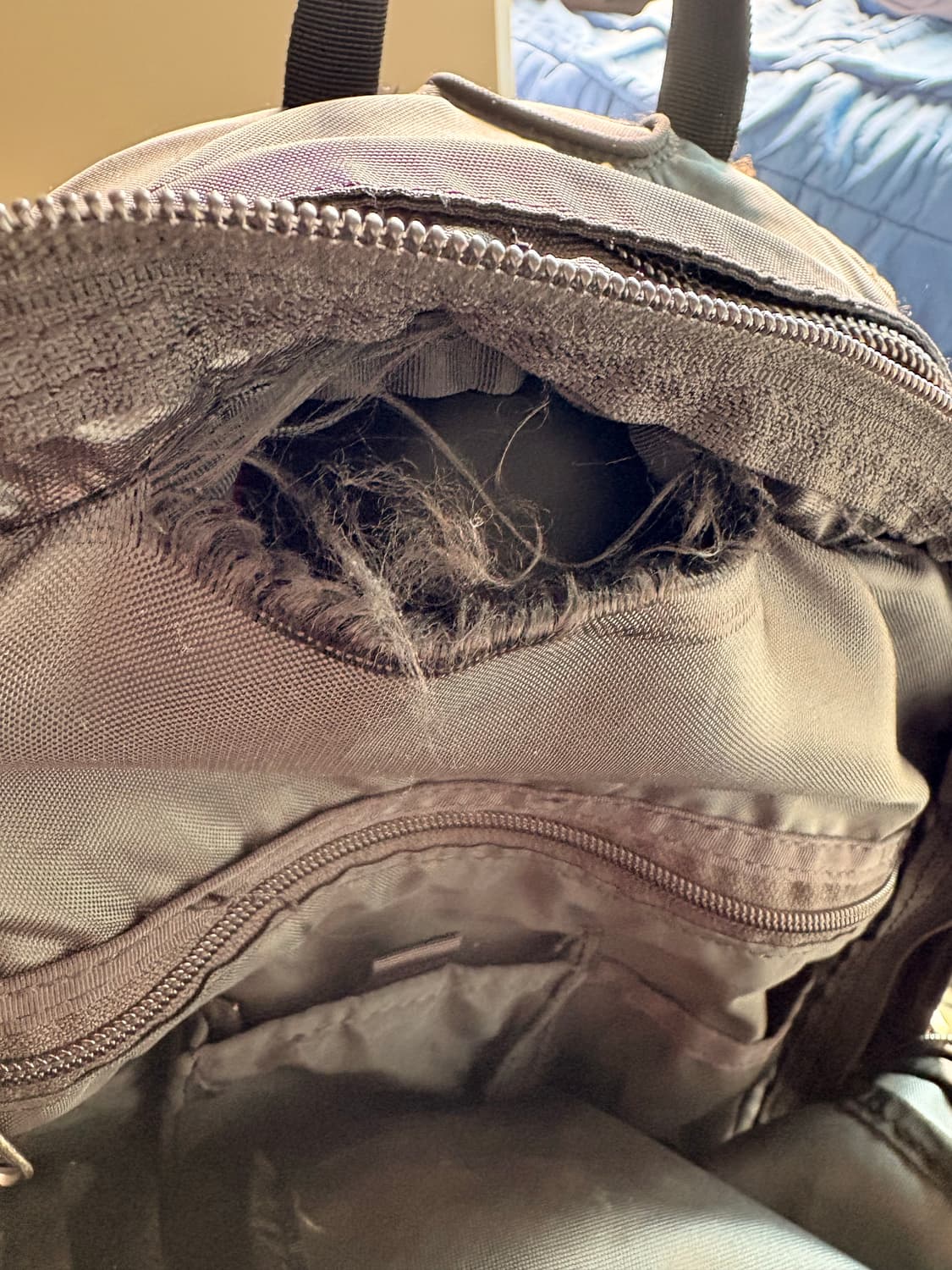 노스페이스 핫샷 28L 블랙 상품이미지4