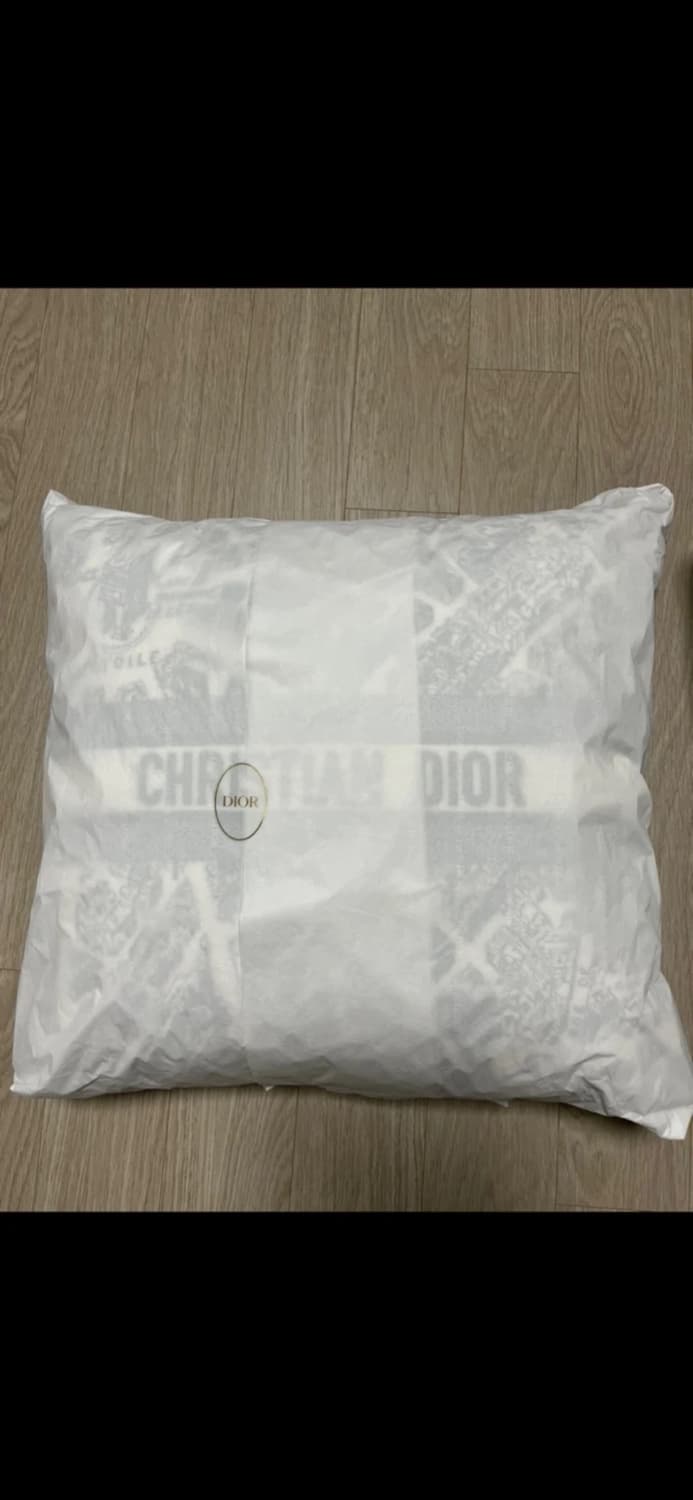 디올 플랑 드 파리 쿠션 새상품 상품이미지2