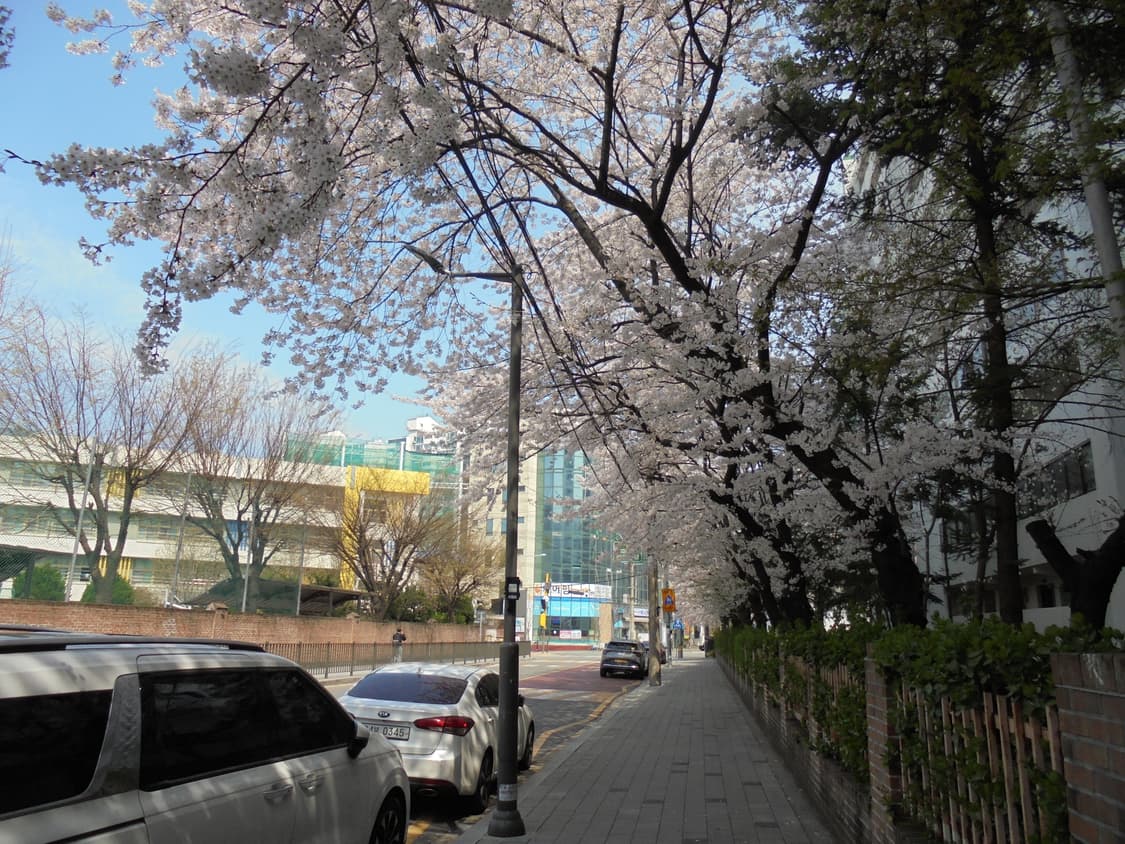 소니 사이버샷 dsc-w810 상품이미지9