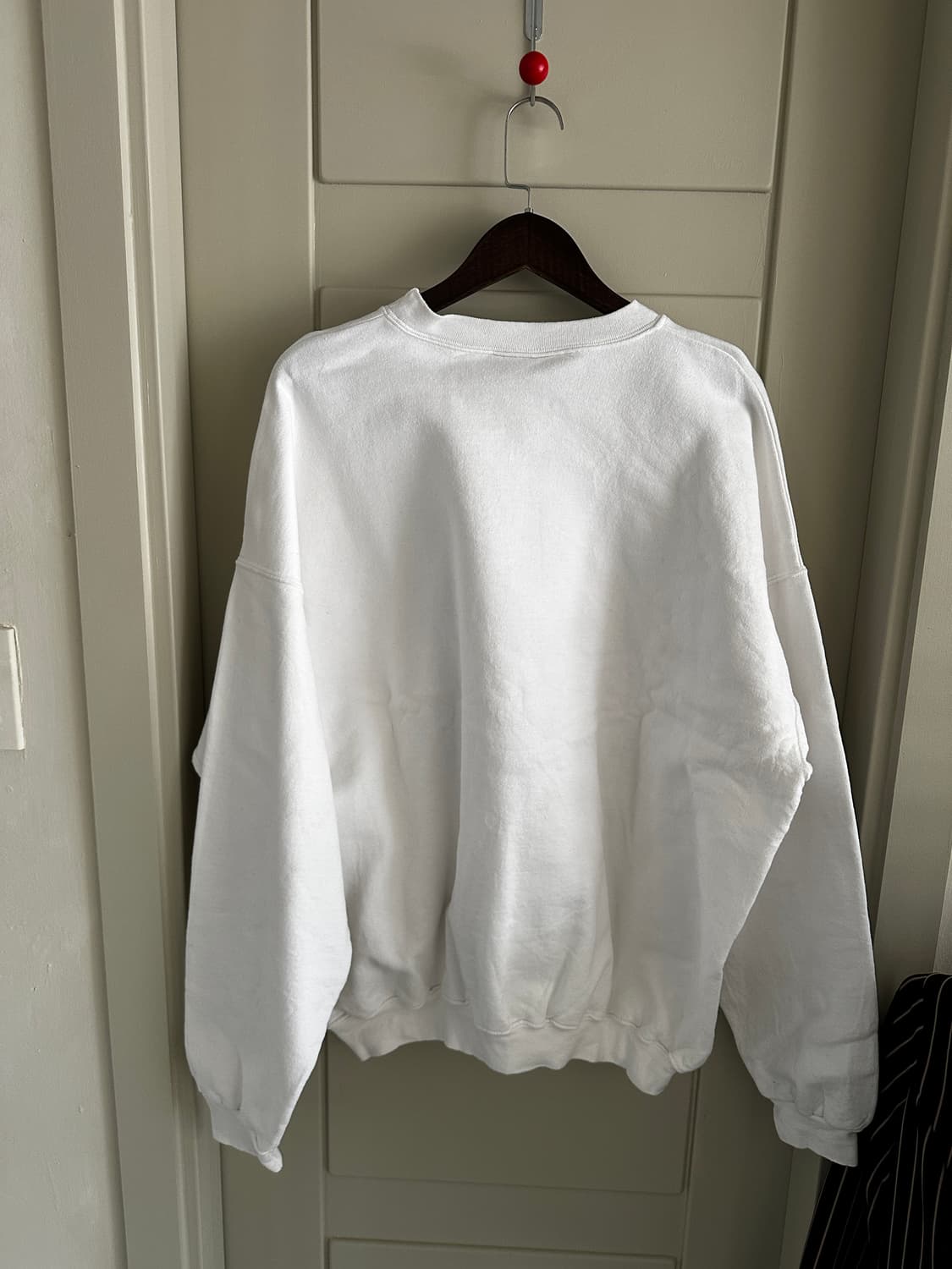 Hanes 하네스 포토 프린팅 스웻 셔츠 맨투맨 상품이미지3