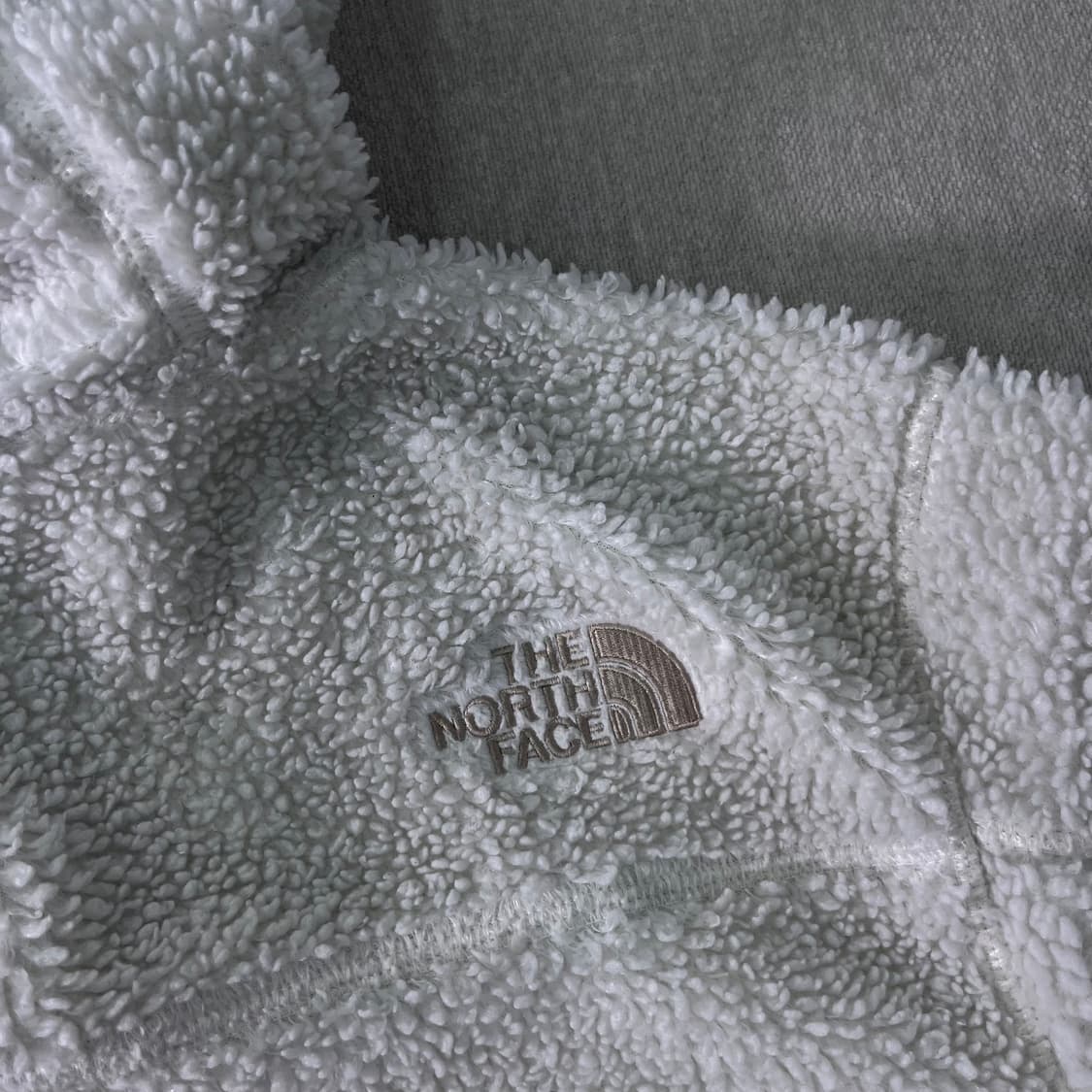 100 노스페이스 에코 플리스 후드집업 상품이미지5