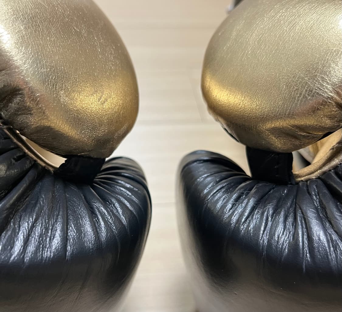 [새제품] [16온스] 에버라스트 파워락 트레이닝 복싱 글러브 상품이미지6