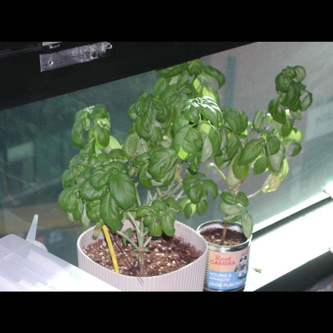 작례⭕️ 니콘 쿨픽스 880 메탈릭 실버 빈티지 🤍 상품이미지4