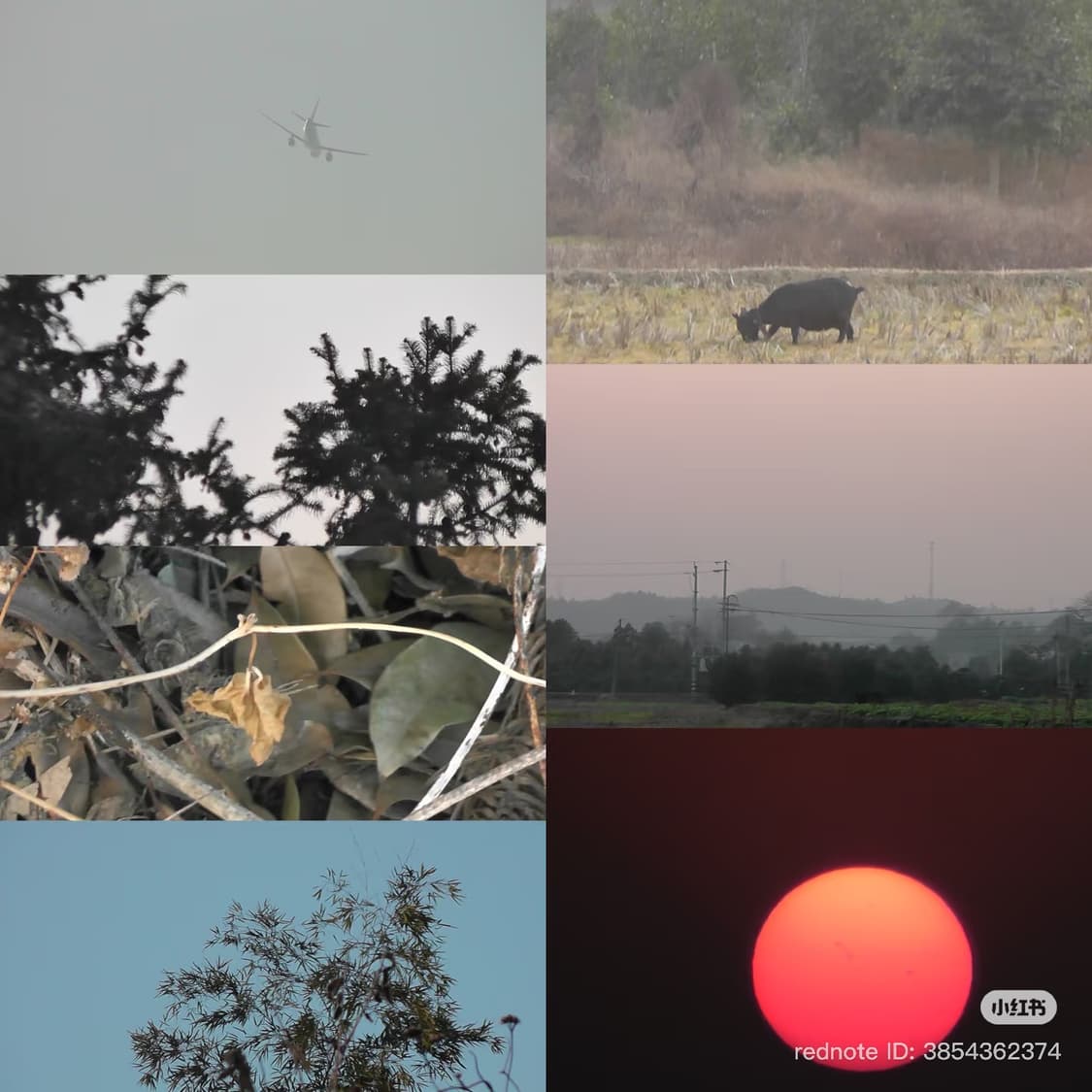 (작례O) Panasonic 파나소닉 tm 45 캠코더 고마츠나나 상품이미지7