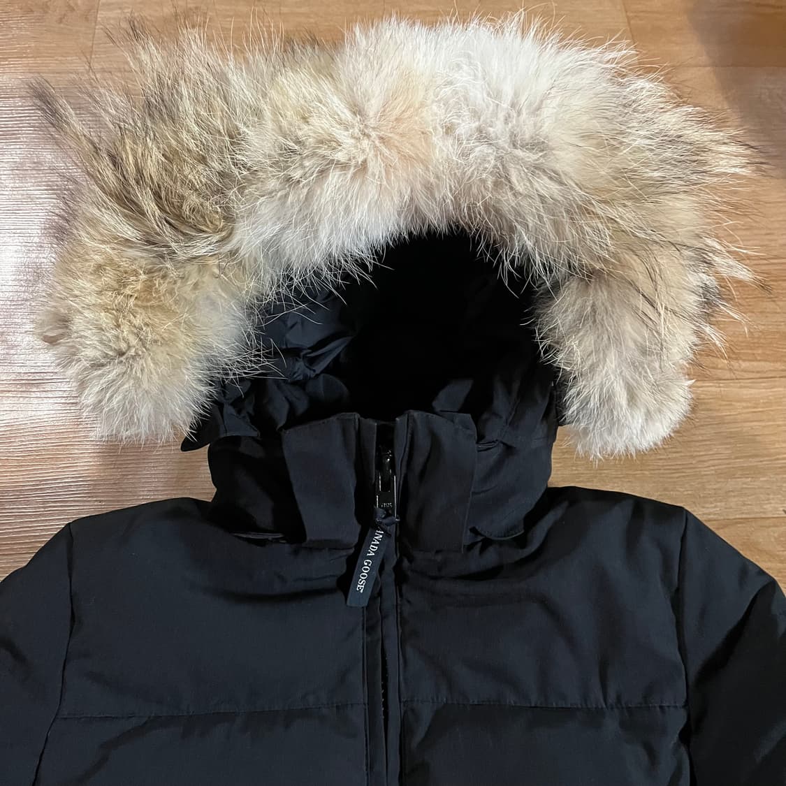 [여55] 캐나다구스 솔라리스 다운파카 상품이미지6