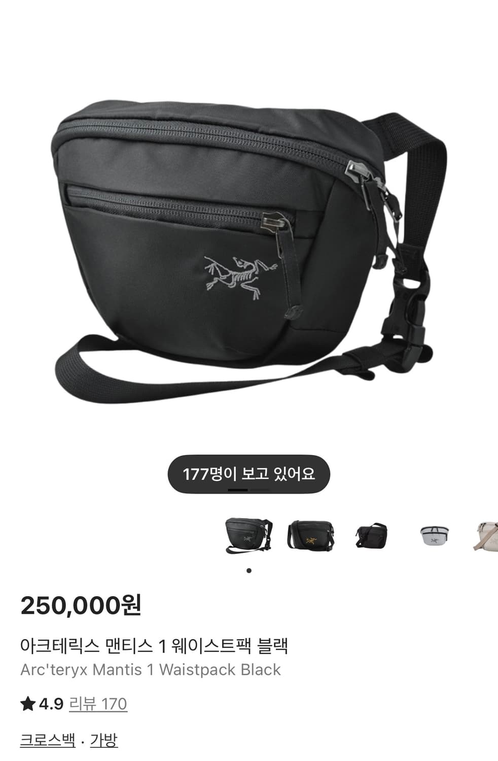 아크테릭스 맨티스1 웨이스트팩 블랙 상품이미지3