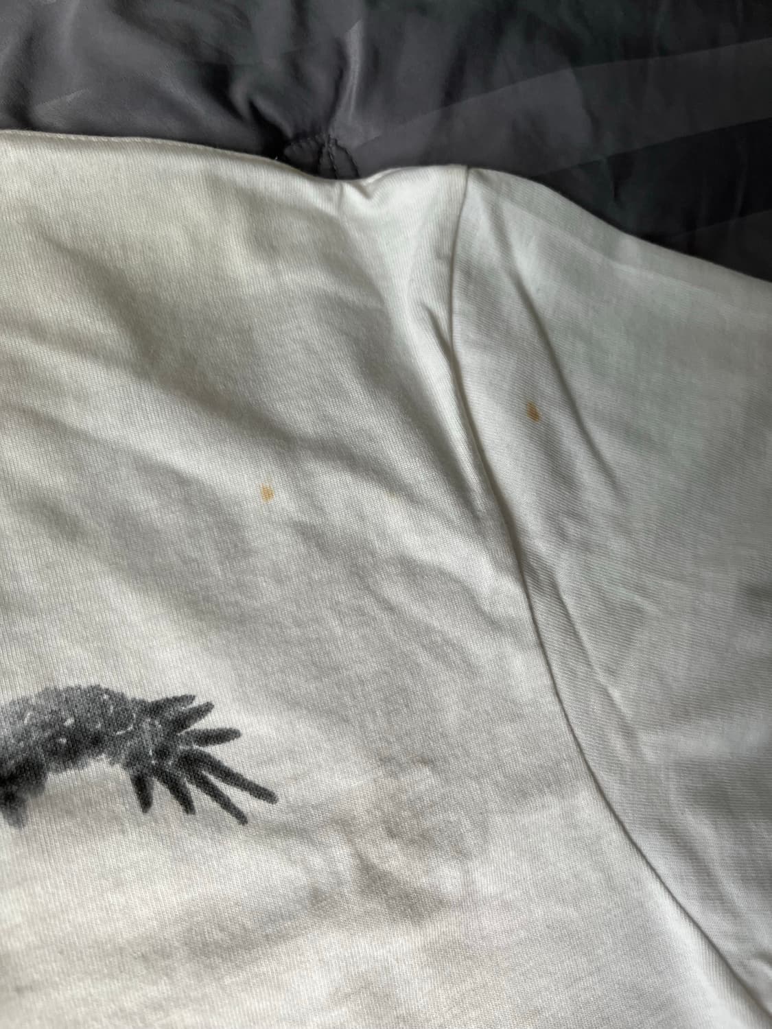 Paf 6.0 갑진년 롱슬리브 상품이미지9