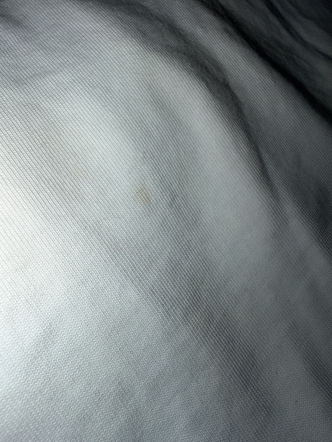 BAPE Botanical Floral Ape Head Tee  상품이미지2