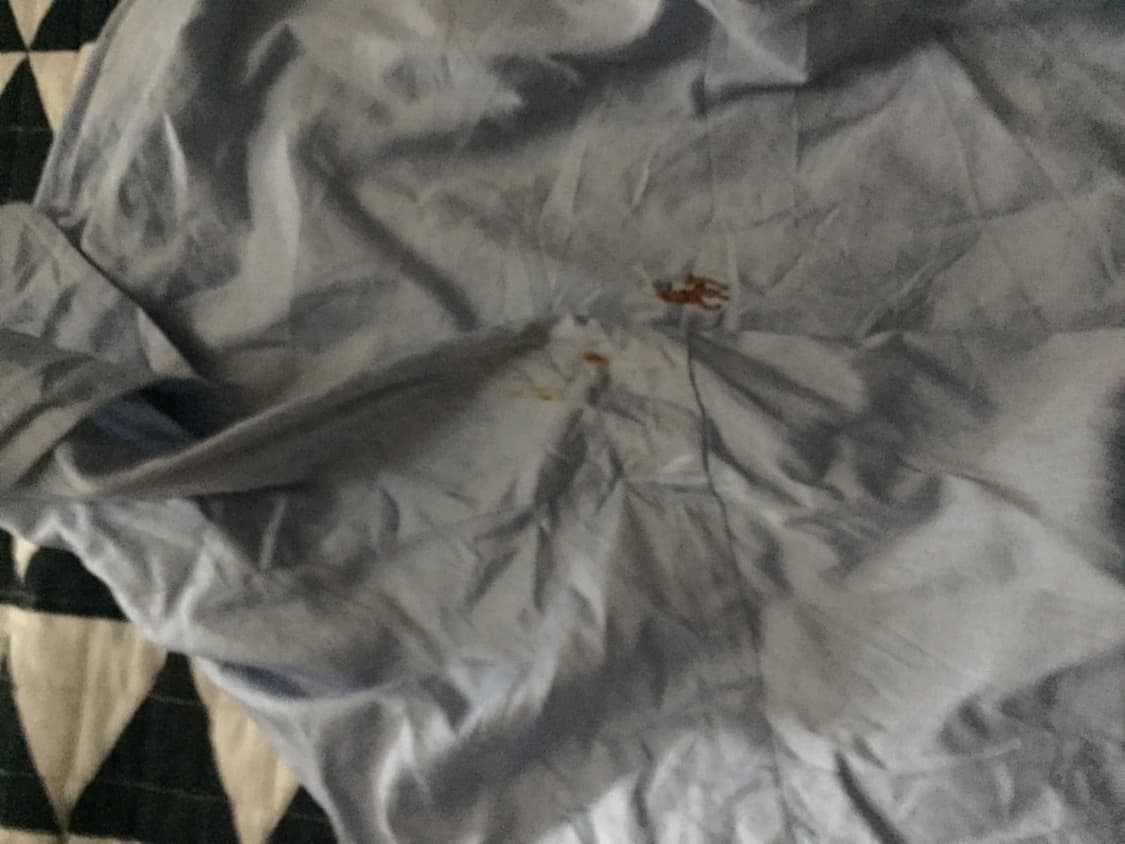 모리걸 꽈배기 니트 폴로셔츠 덤 상품이미지4