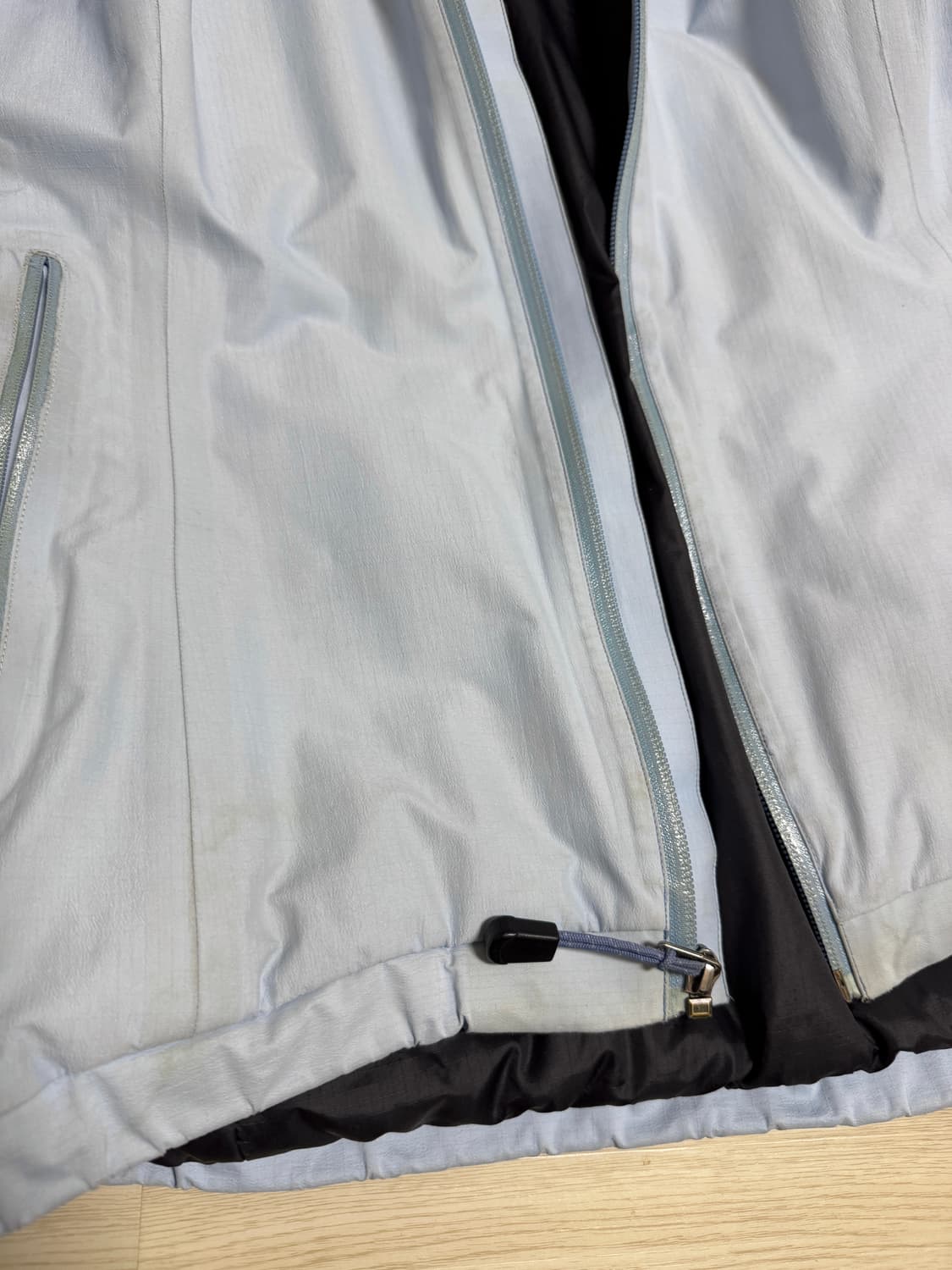 아크테릭스 피션 AR 00s  상품이미지4