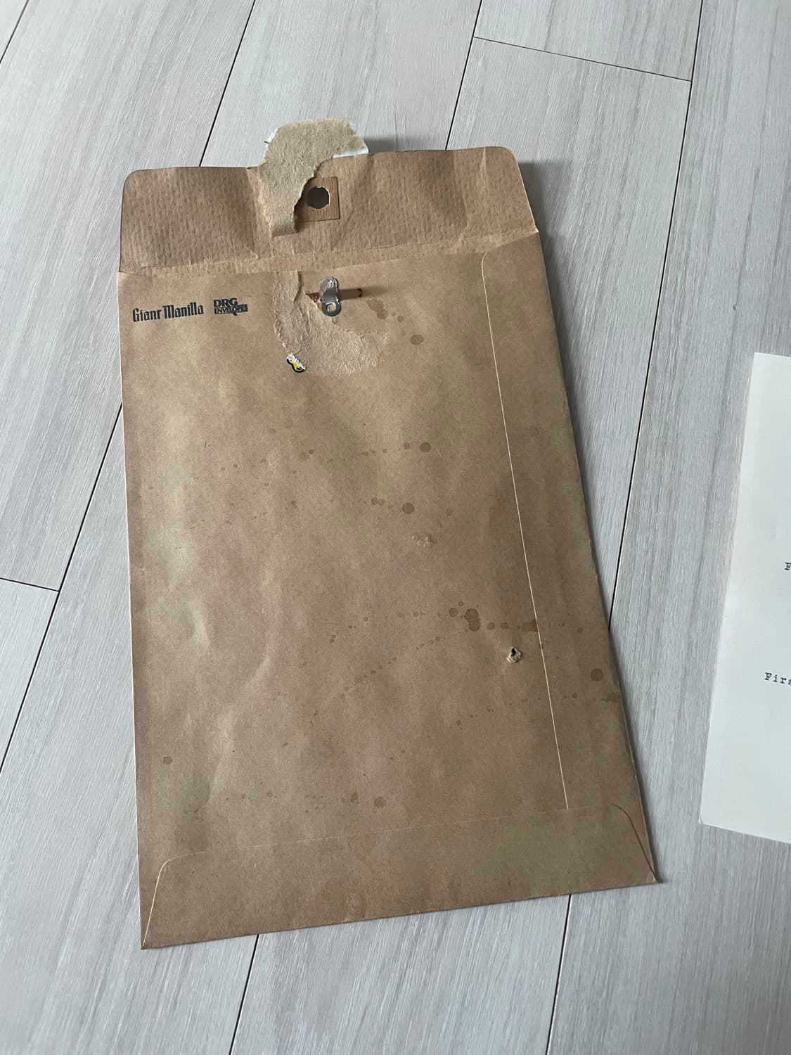 Archivio J.M Ribot 안경 리본 악세사리 상품이미지6