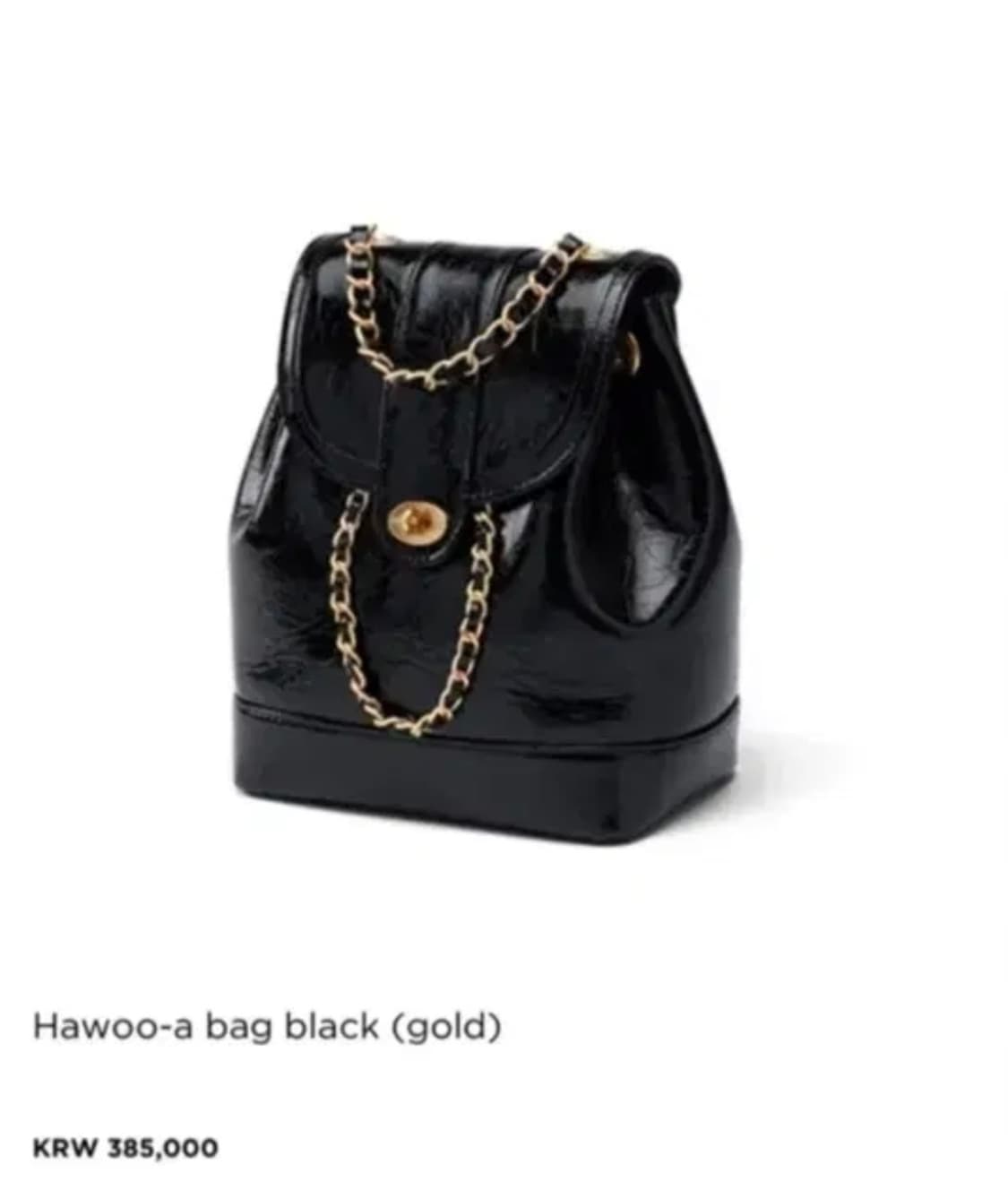 새상품) 카디널레드 하우아백 블랙 은장 체인 백팩 상품이미지1