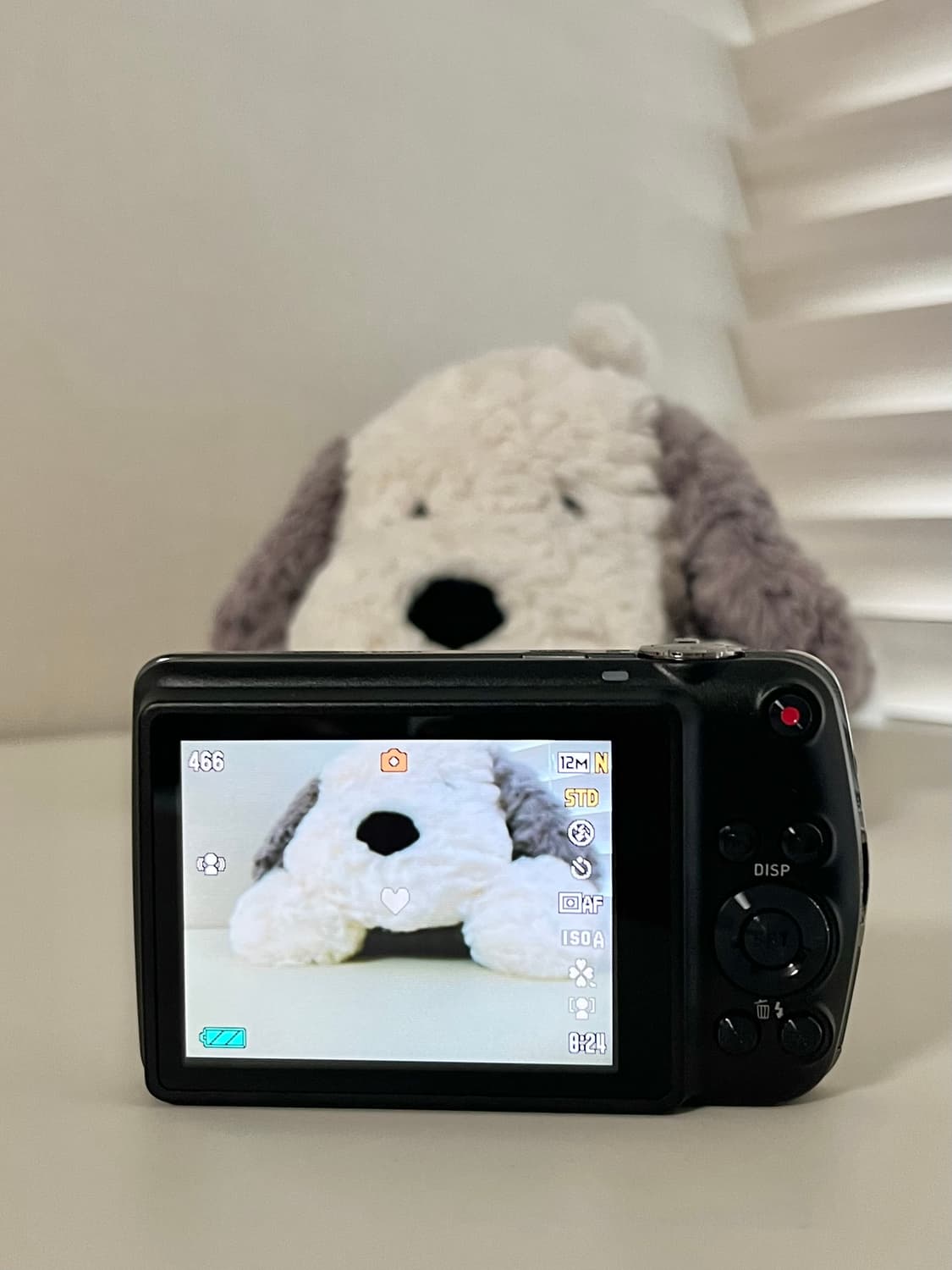 [새상품급] 카시오 엑슬림 z330 매트블랙 / 디지털카메라 빈티지디카 상품이미지7