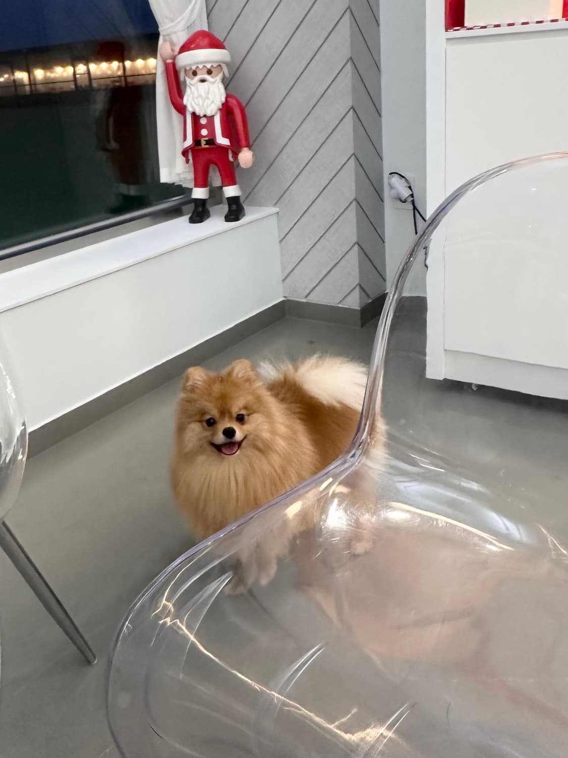 베스티  상품이미지1