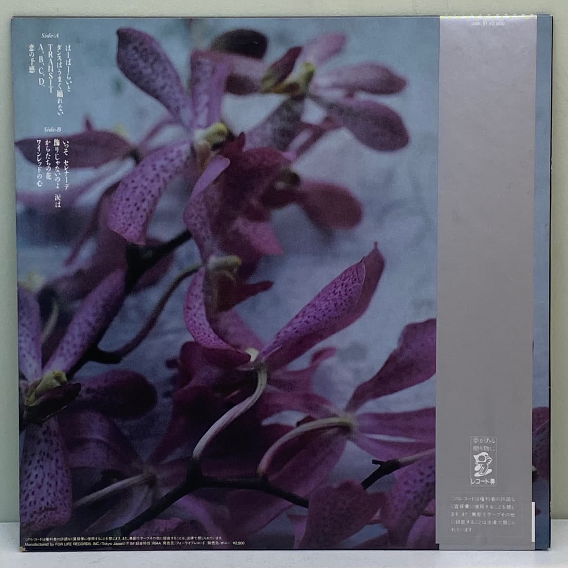 (LP) Yosui Inoue (이노우에 요스이)-9.5 Carats 상품이미지2