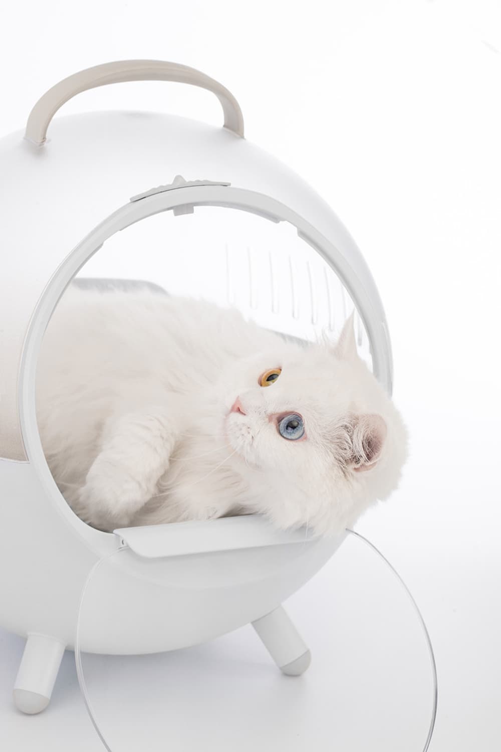 퓨리테일 고양이 이동하우스 상품이미지4