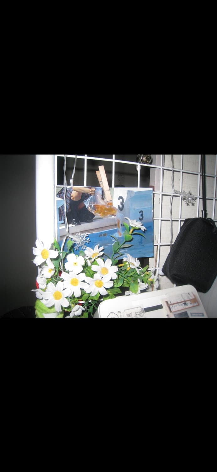 캐논 IXUS 860 IS (PowerShot SD870 IS / IXY 상품이미지3