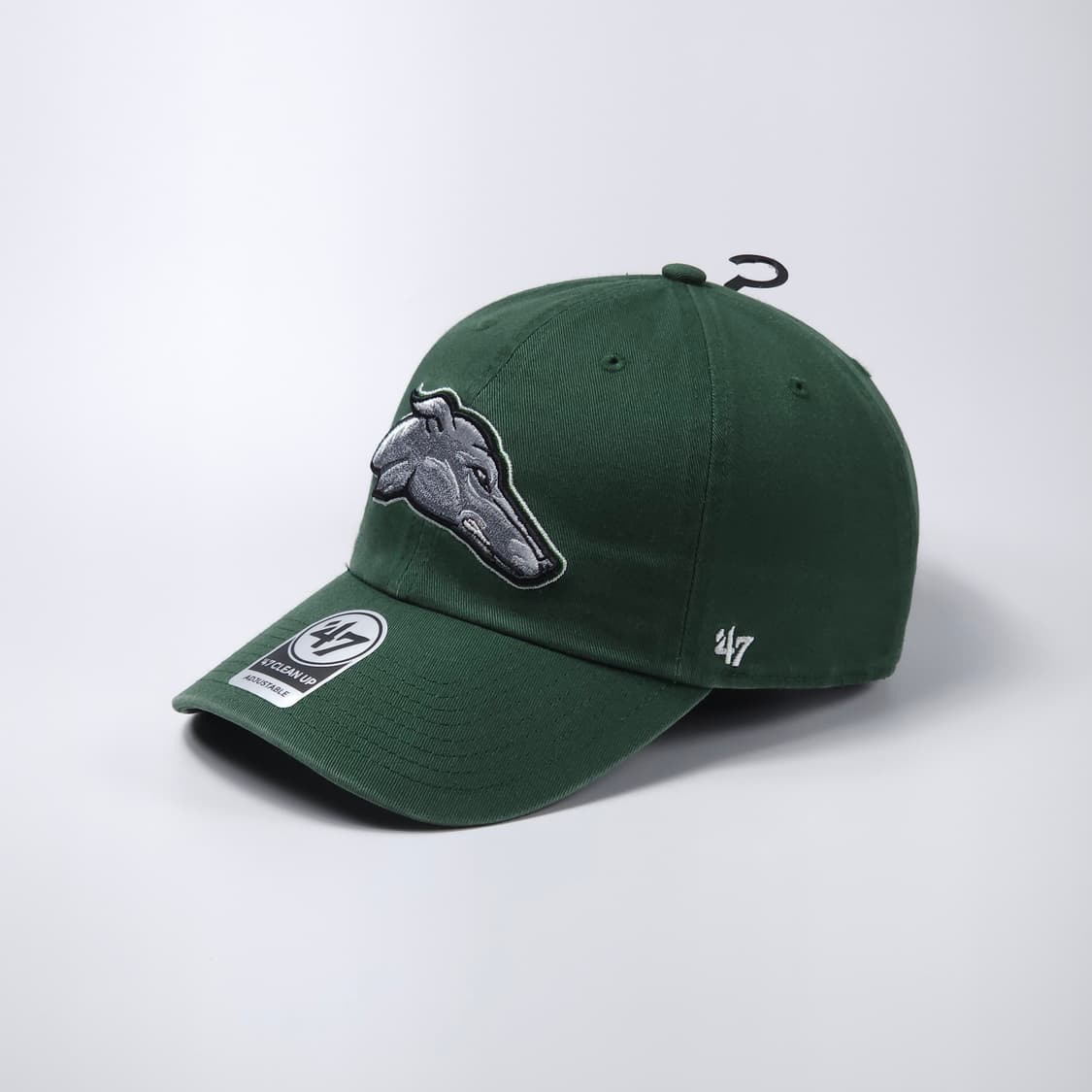 47 NCAA 이스턴 뉴 멕시코 그레이하운드 볼캡 모자 상품이미지1