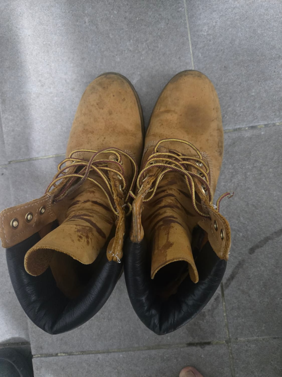 팀버랜드 프리미엄 6인치 255 상품이미지1