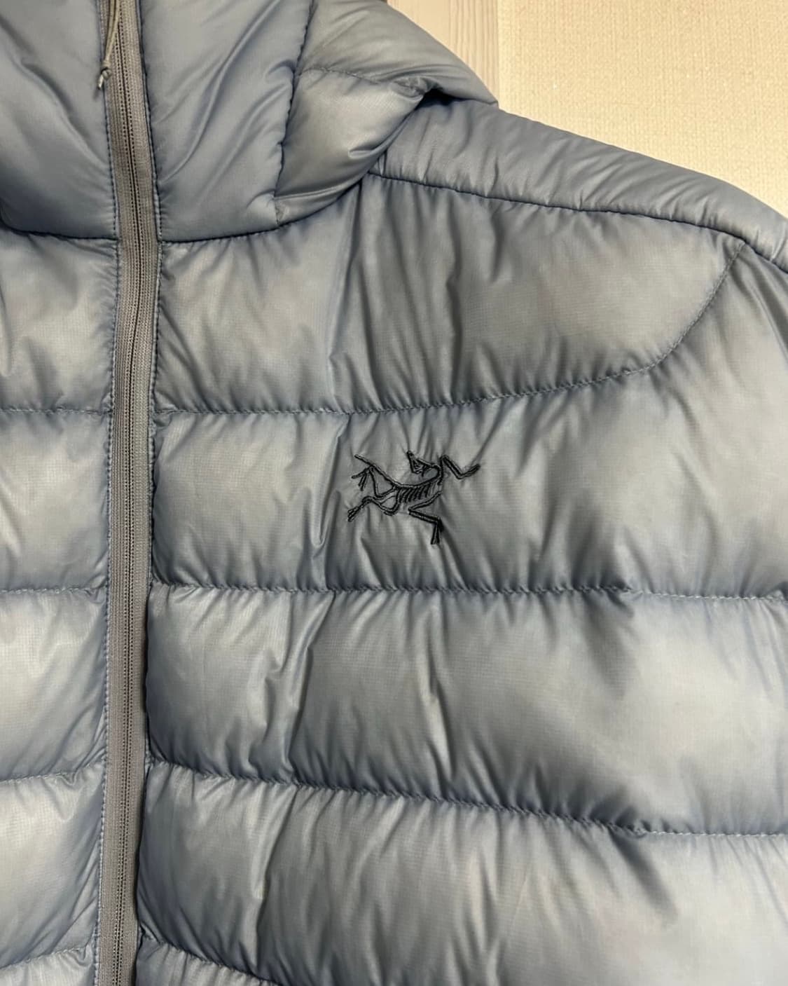 아크테릭스 세륨 후디 루센트 L 상품이미지2