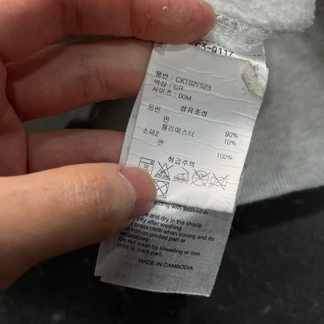 95 챔피언 리버스위브 후드티  상품이미지4