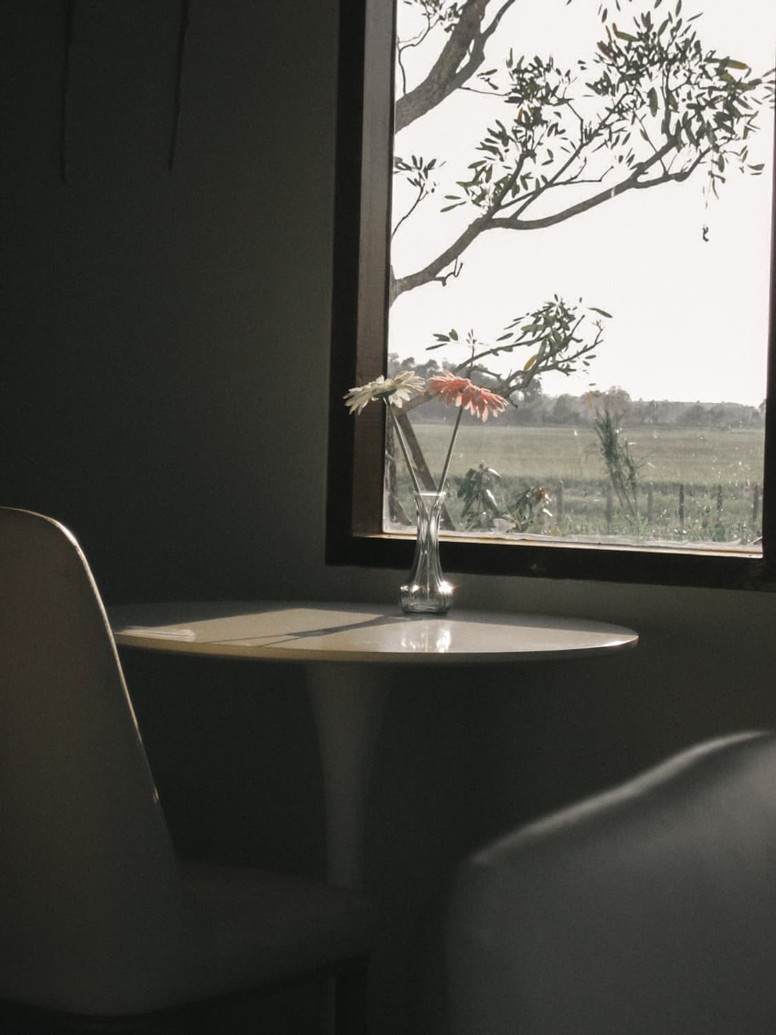 채영픽 🌸캐논 IXY80 / IXUS65 ✨ 상품이미지6