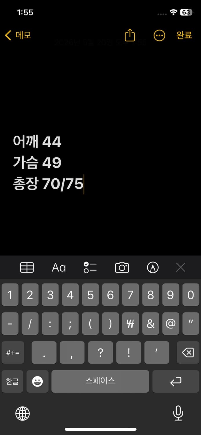 폴로랄프로렌 빅포니 카라티 오렌지  상품이미지5