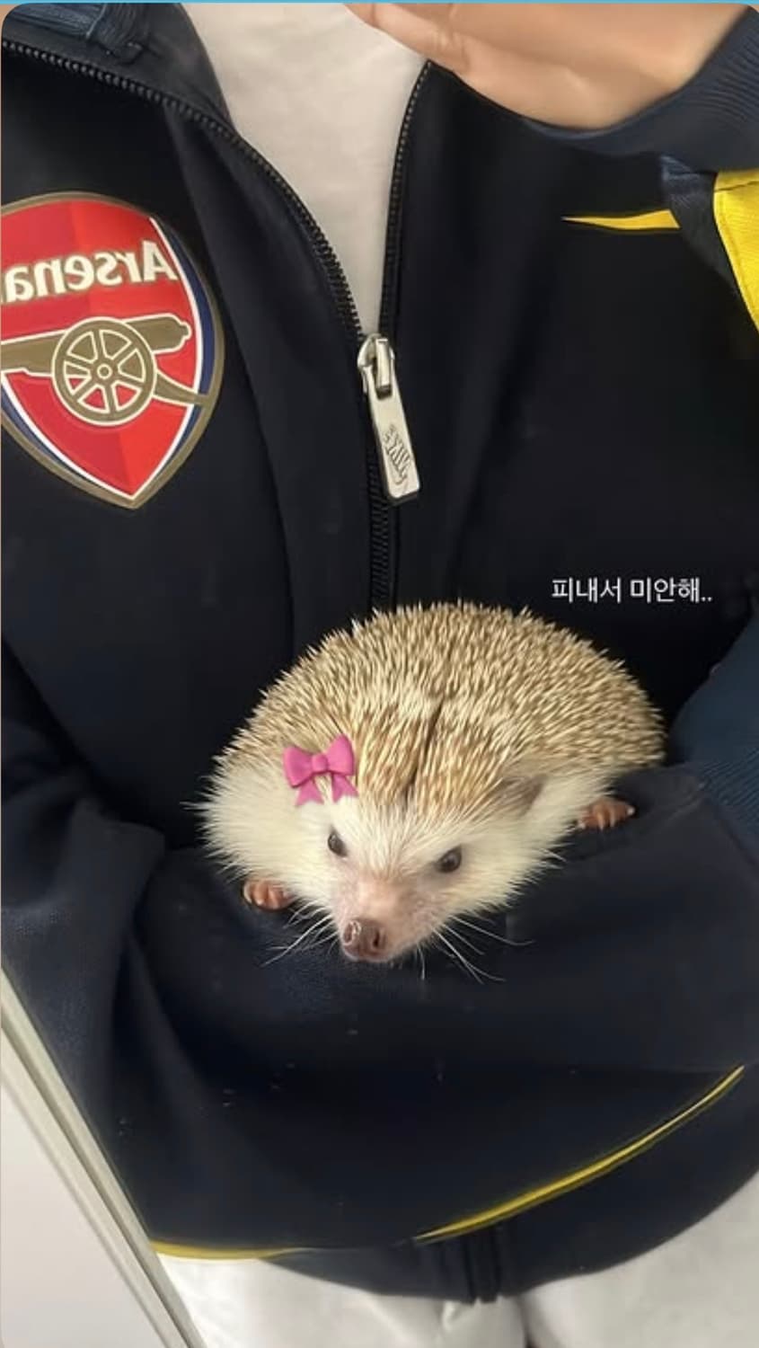 아스날 져지 상품이미지3
