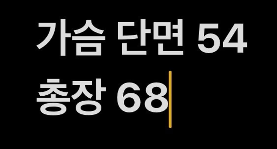 [정품/105] 지오송지오 스웨이드 자켓 b8 상품이미지9