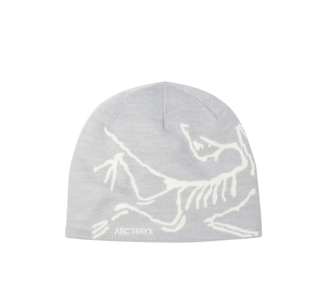 아크테릭스 버드 헤드 토크 솔리튜드 아크틱 실버 상품이미지1