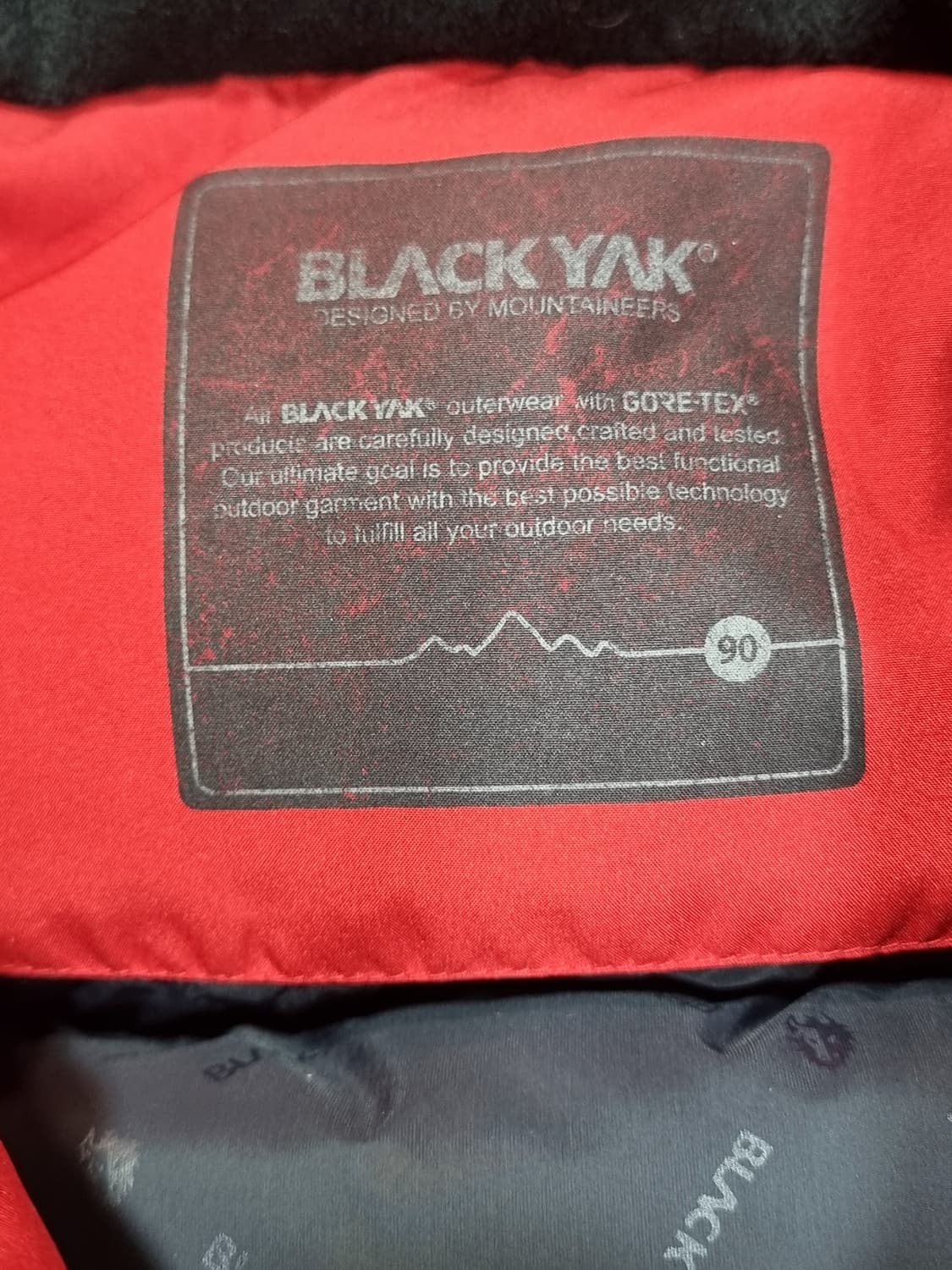 블랙야크 고어텍스엣지레이디 다운자켓 (C890 상품이미지3