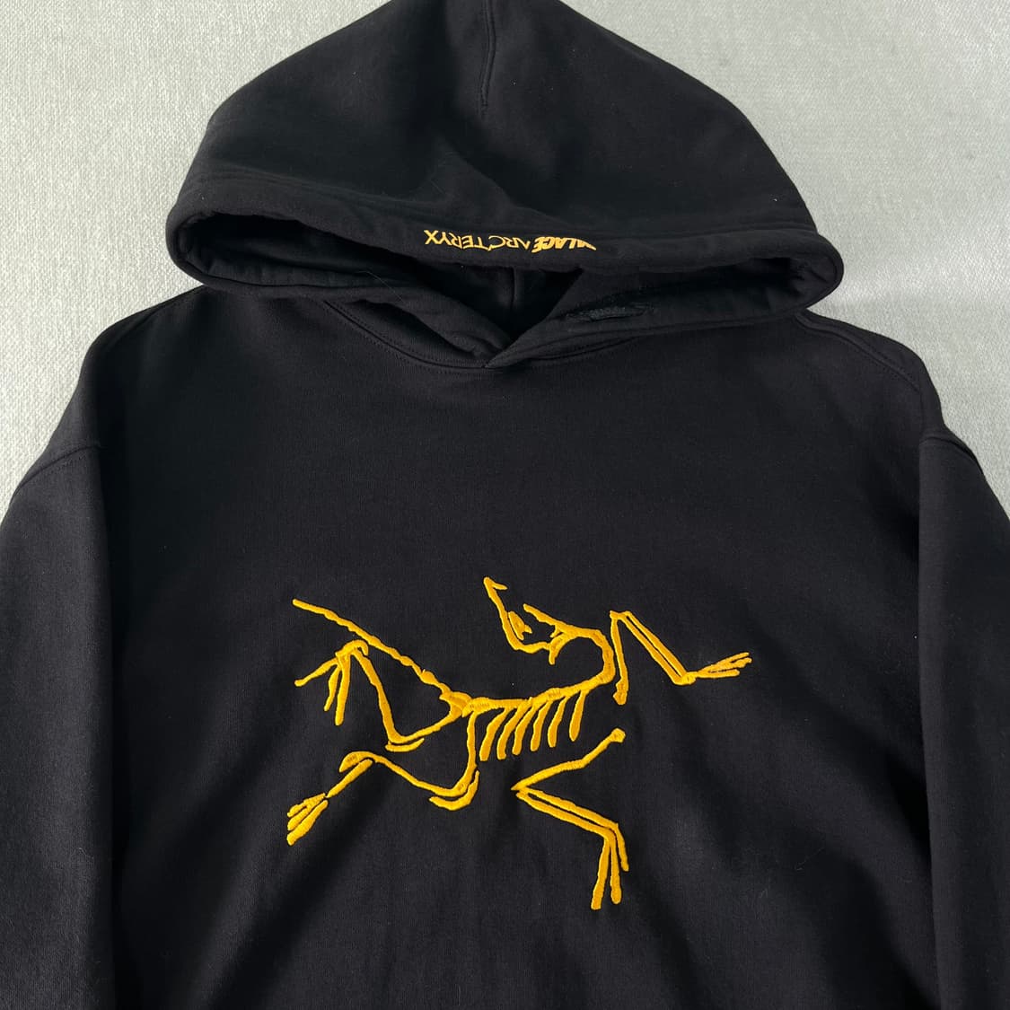 105 아크테릭스 x 팔라스 후드티 상품이미지3