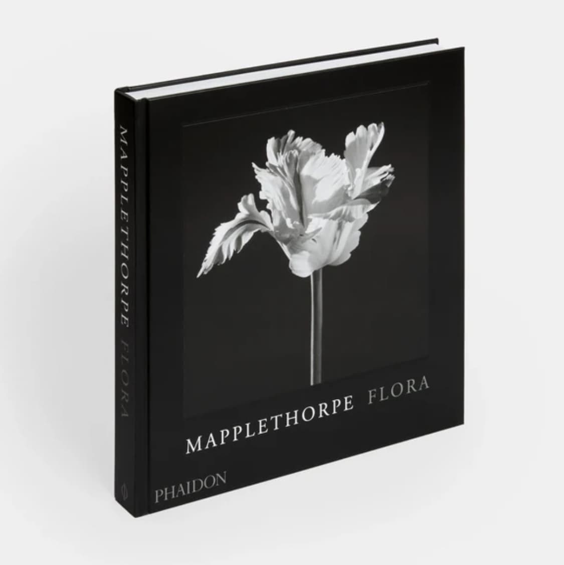 미개봉 / MAPPLETHORPE 로버트 메이플소프 플로라 사진집 상품이미지9