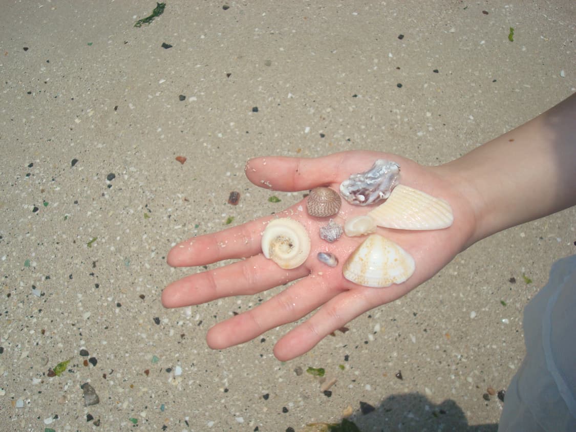 소니 사이버샷 DSC-W80 카메라 상품이미지4