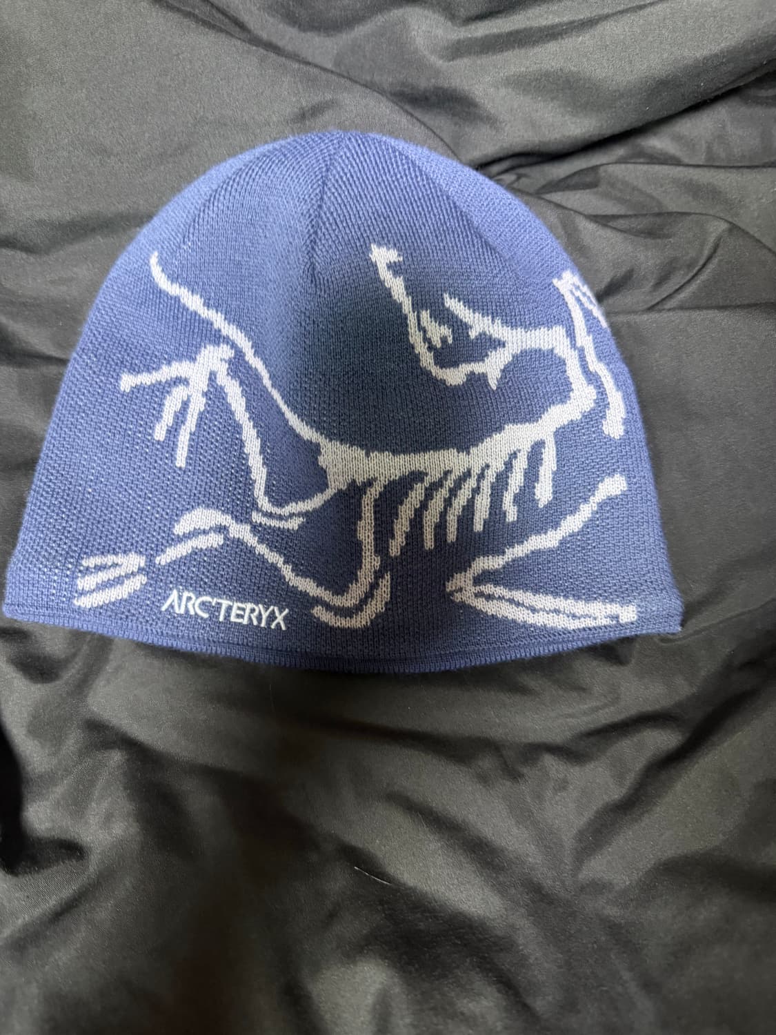 아크테릭스 버드 헤드 토크 문리트 비니 상품이미지2