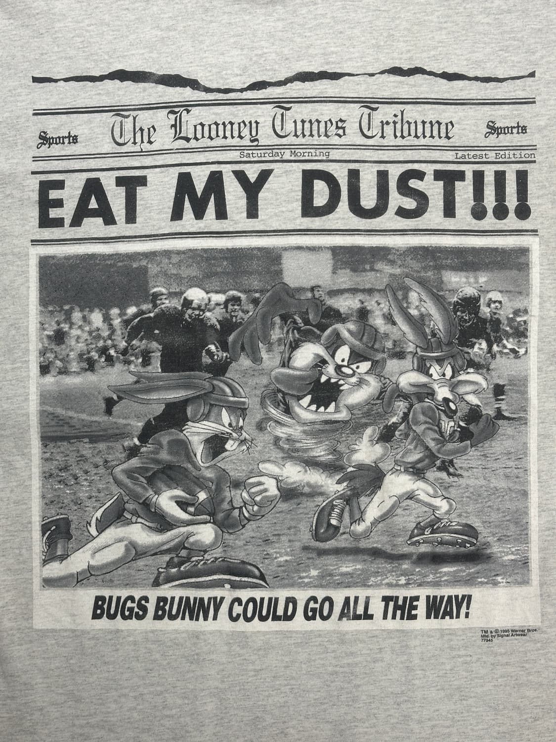 1995' 루니툰즈 투톤 티셔츠 L 상품이미지3