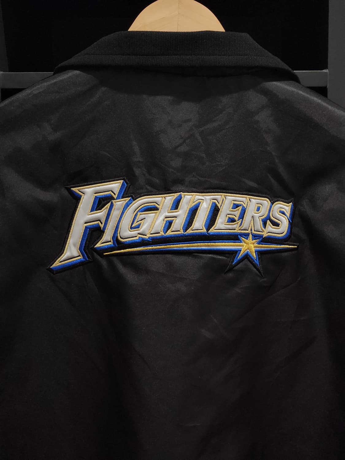 NPB (미즈노) 닛폰햄 파이터즈 팀자켓 L

 상품이미지8