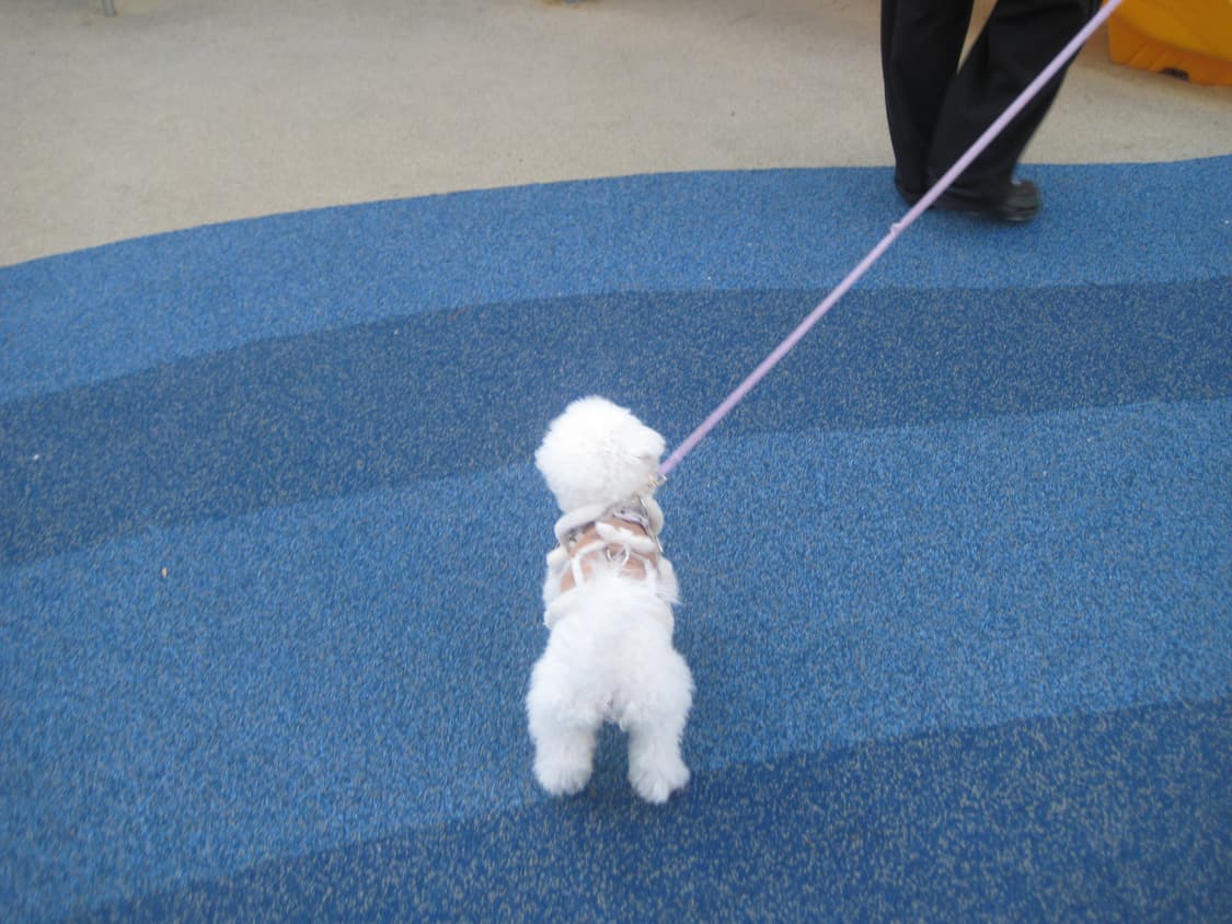 캐논 익서스 70 ixus70 ixy 10 작례  상품이미지4