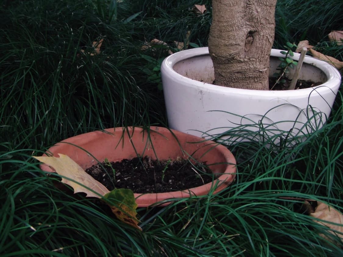 (영화색감!🫧) 카시오 엑슬림 V8 | Casio Exilim V7 상품이미지4