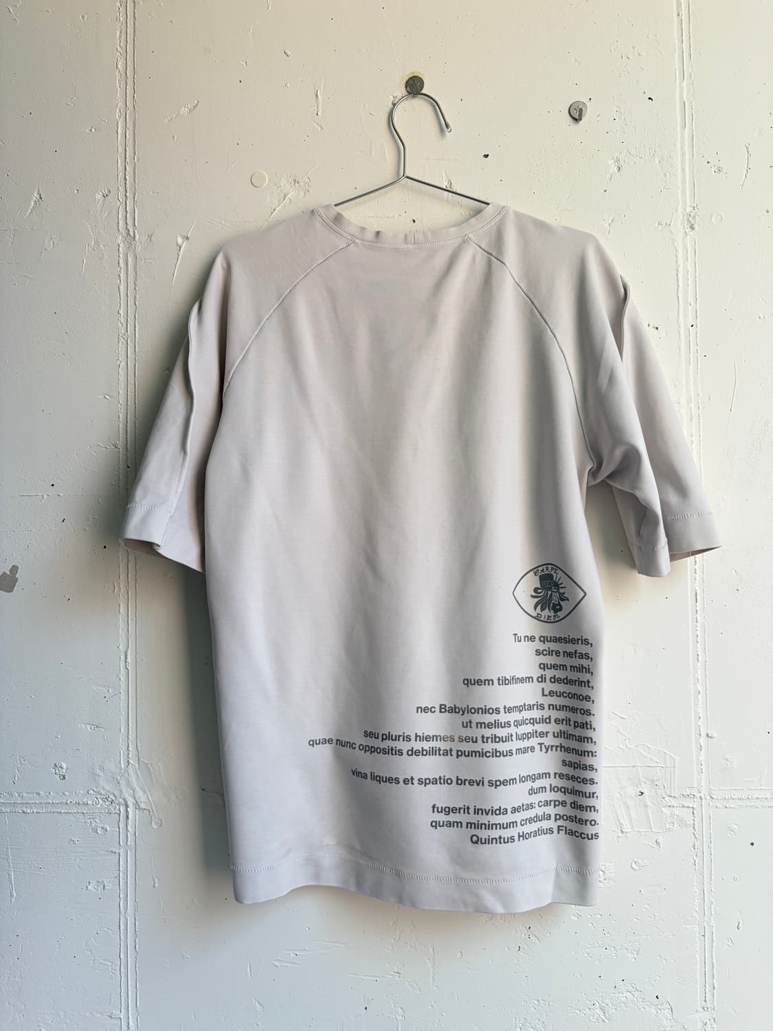 C DIEM reflector print sleeve t-shirt  상품이미지5