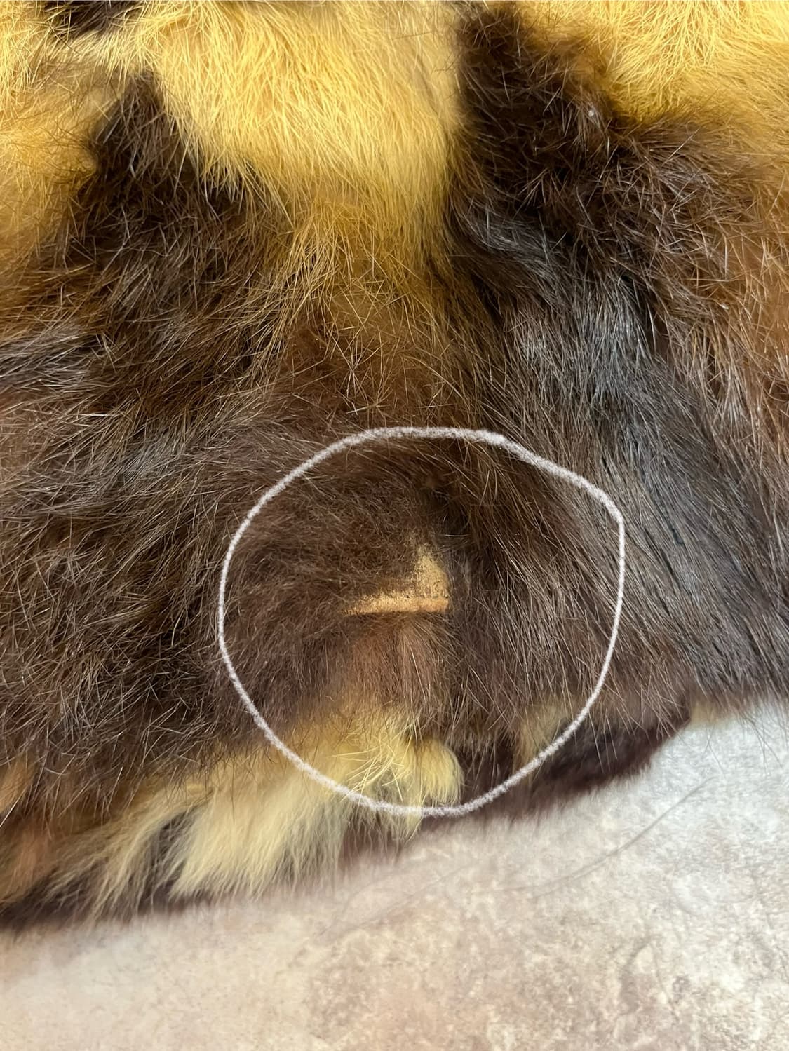 빈티지 모피 믹스 퍼 자켓 #csz2548 상품이미지8