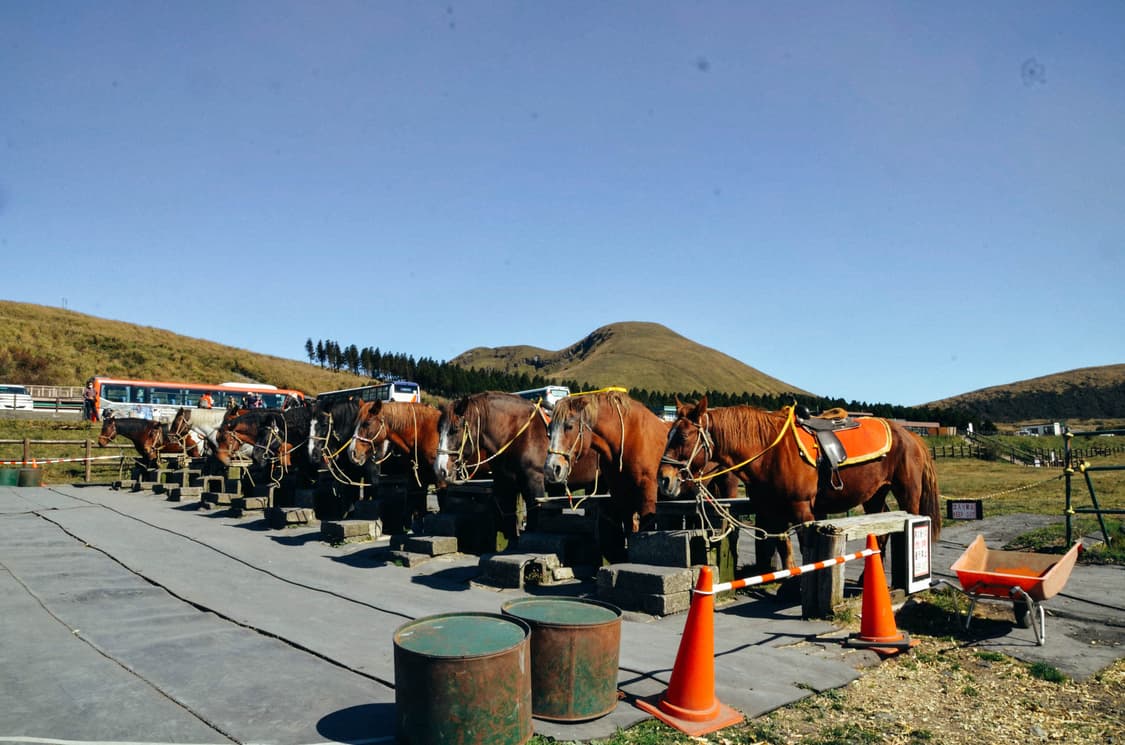 Nikon Coolpix S570 (니콘 쿨픽스 S570) 상품이미지8