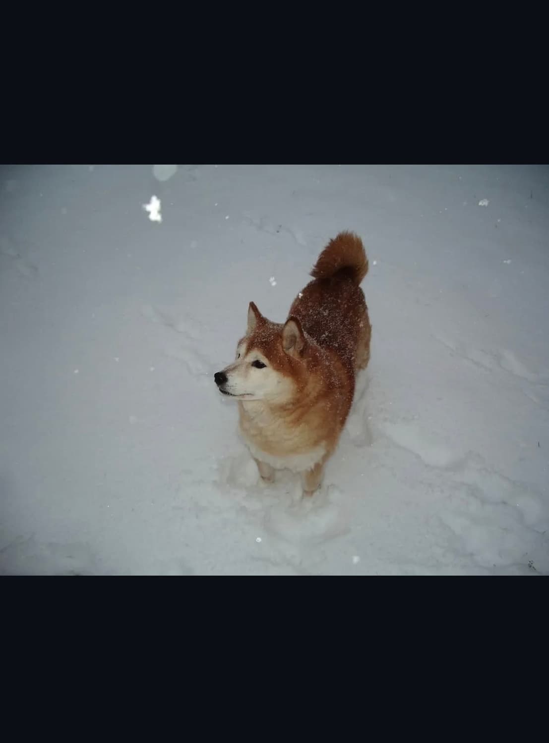 펜탁스 옵티오 s40 디지털카메라 상품이미지8