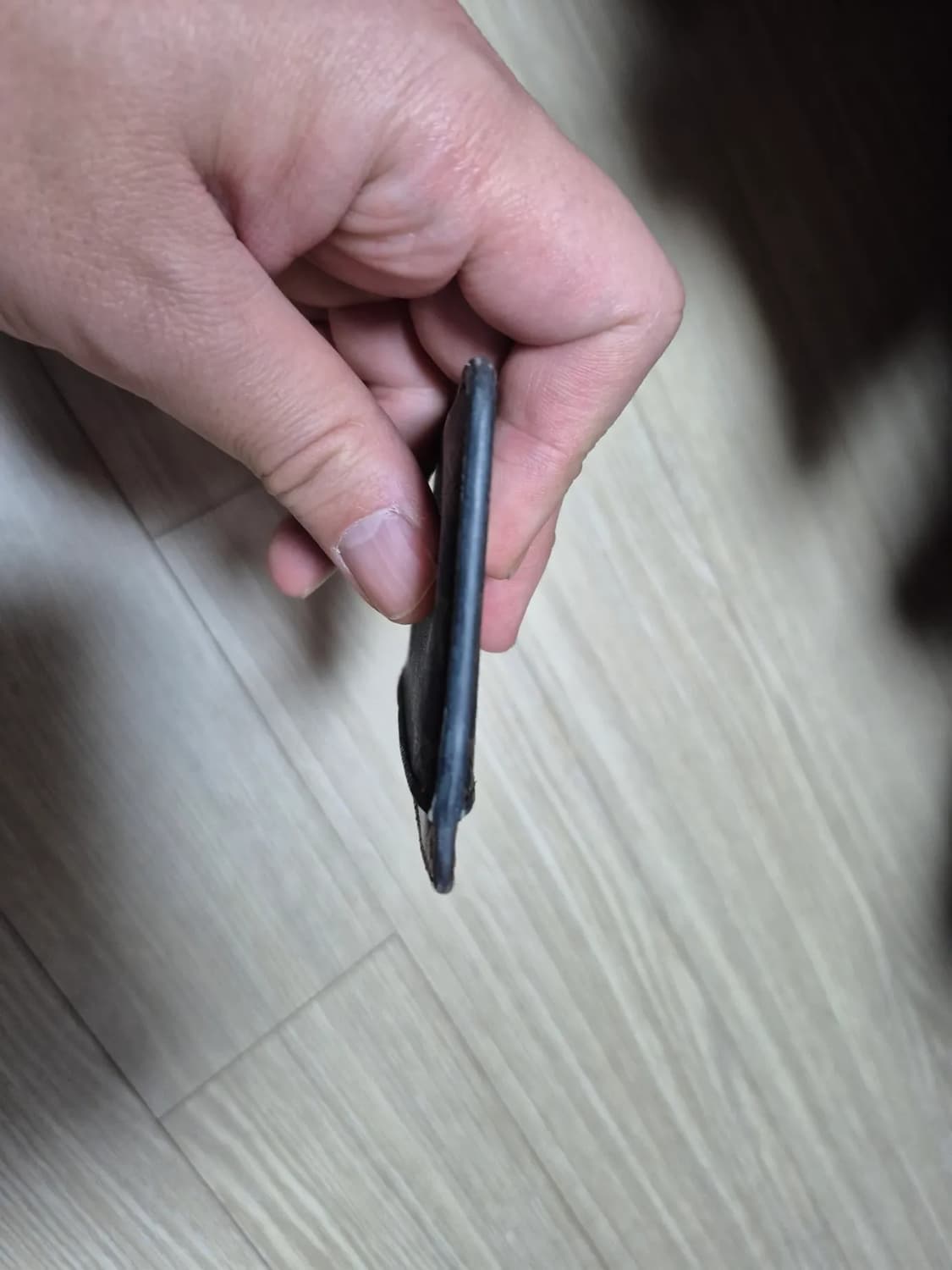 셀린느 정품 트리옹프 캔버스 카드 지갑 카드홀더 팝니다 상품이미지6