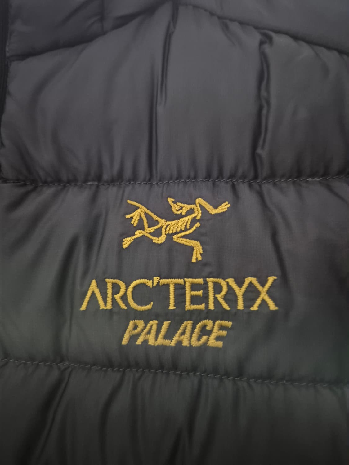 M) 아크테릭스 팔라스 세륨 lt 후디 상품이미지2