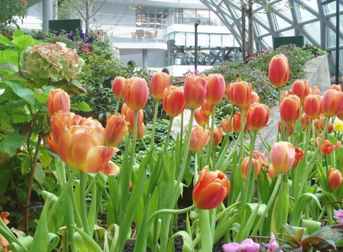 올림푸스 뮤 미니(mini) 디카 (빈티지 카메라) 상품이미지6