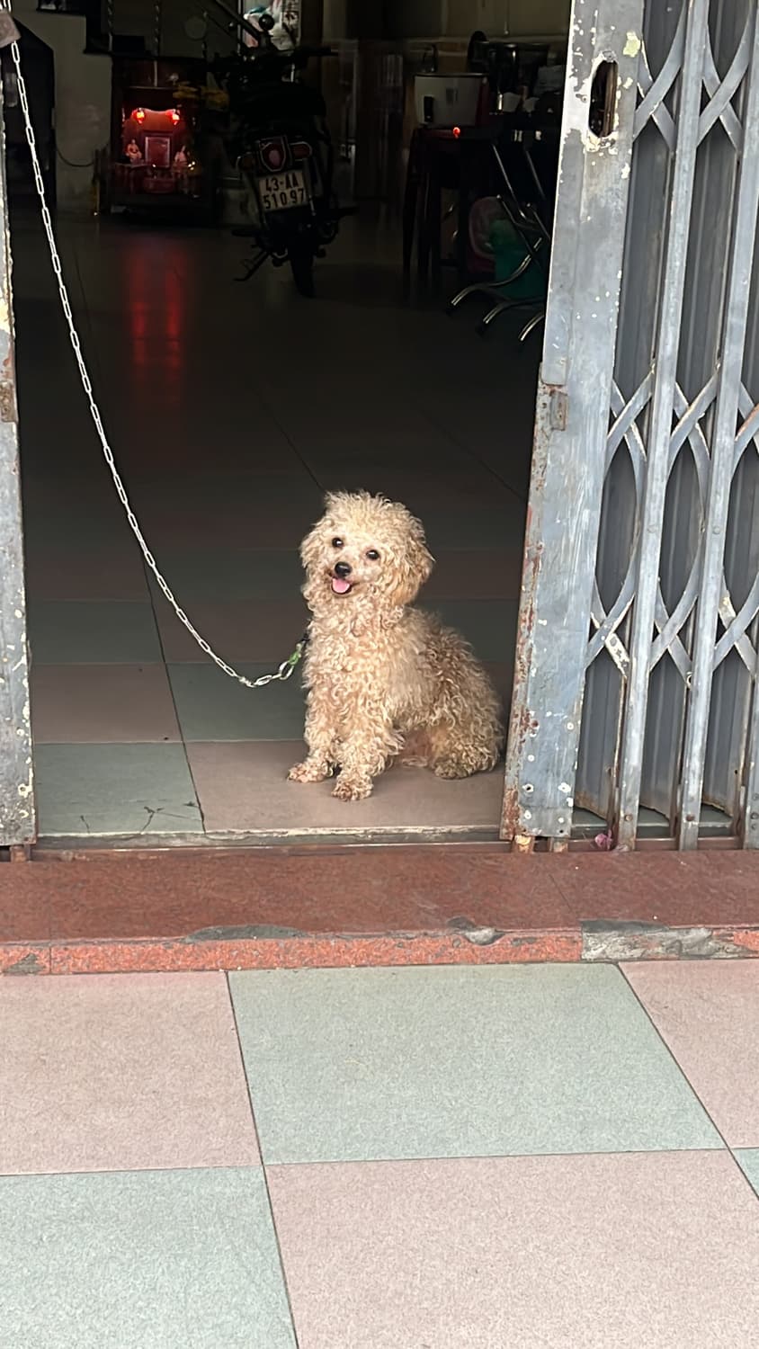 결제창 상품이미지1